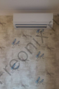 Our work