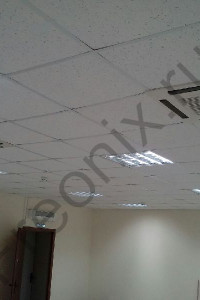 Our work