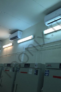 Our work