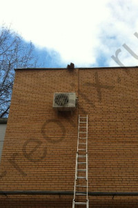 Our work