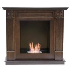 Fireplace Bioteplo Ashley