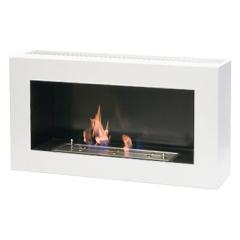 Fireplace Bioteplo Fine Art