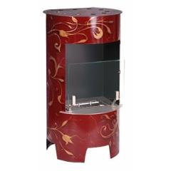 Fireplace Bioteplo Poele