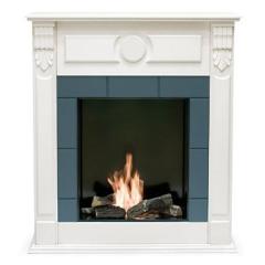 Fireplace Bioteplo Swan