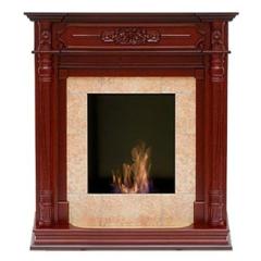 Fireplace Bioteplo Триумф