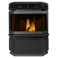 Fireplace Ecoforest Eco I
