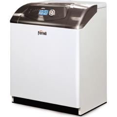 Boiler Ferroli Pegasus D 30