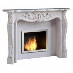 Fireplace Planika Onyx Plus PF-01 Мичиган