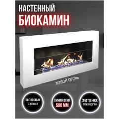 Fireplace Русский Огонь Бланк 900N